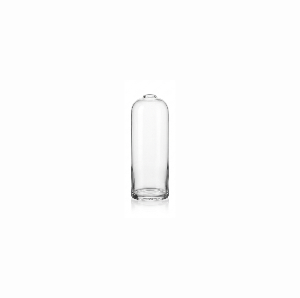 Clear Glass Bud Vase S