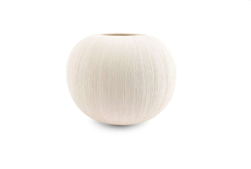 Cosmos Porcelain Vases