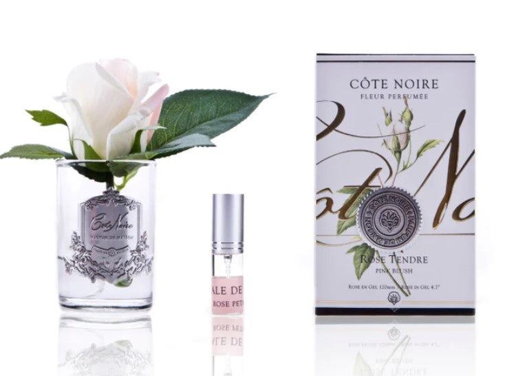 Single Rose Pink Blush