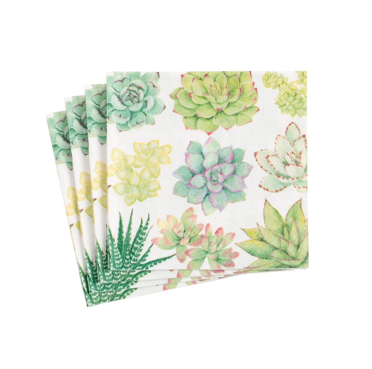Succulents Cocktail Napkin