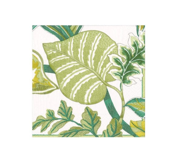 Florida Napkins