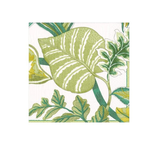 Florida Napkins