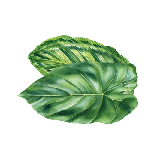 Foliage Spill-Proof Placemats S/4