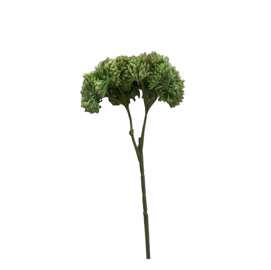 Large Donkey Tail