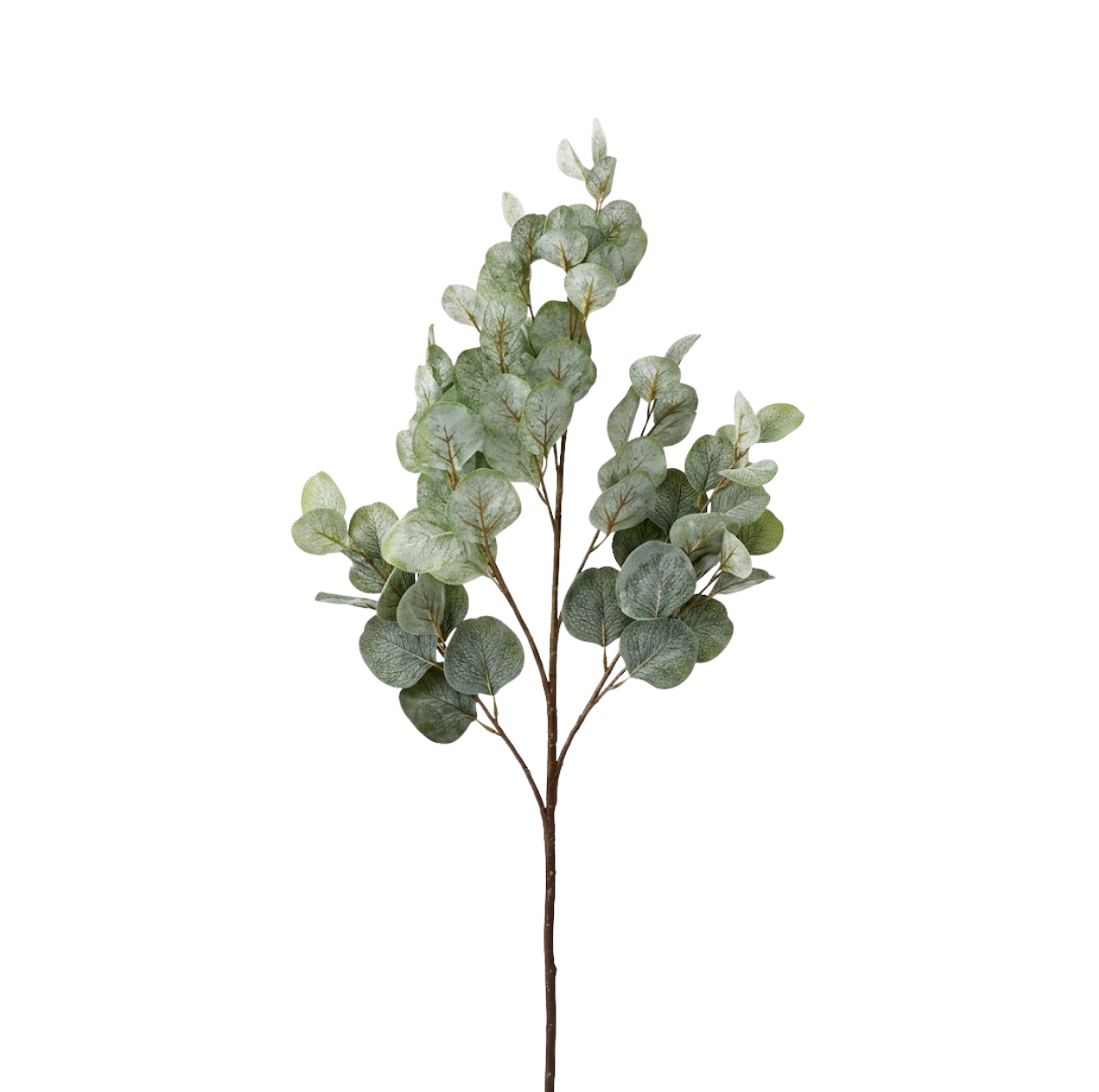 Eucalyptus Stem Soft Green 40"