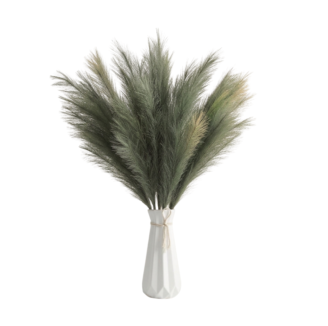 Pampa Grass