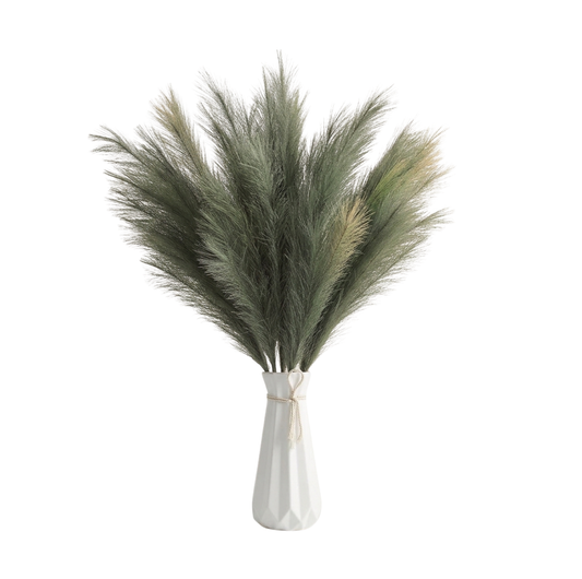 Pampa Grass