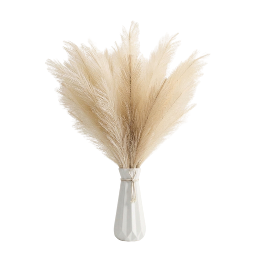Pampa Grass