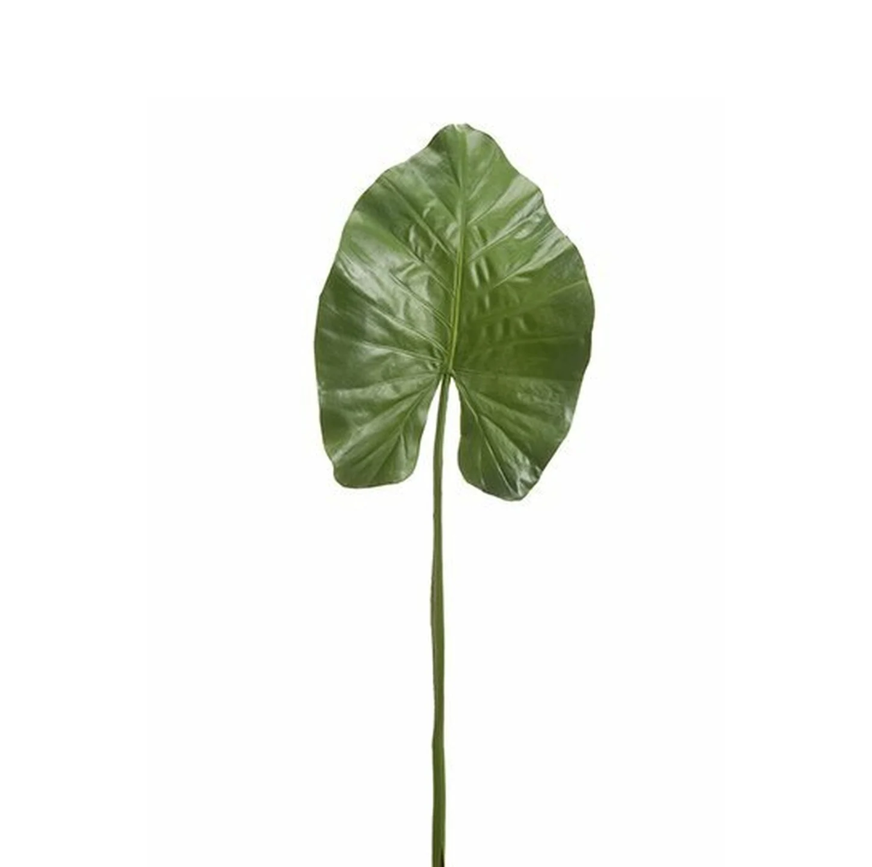 Elephant Ear Leaf Spray