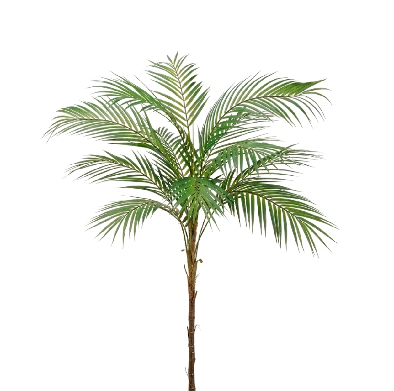 Areca Palm Spray