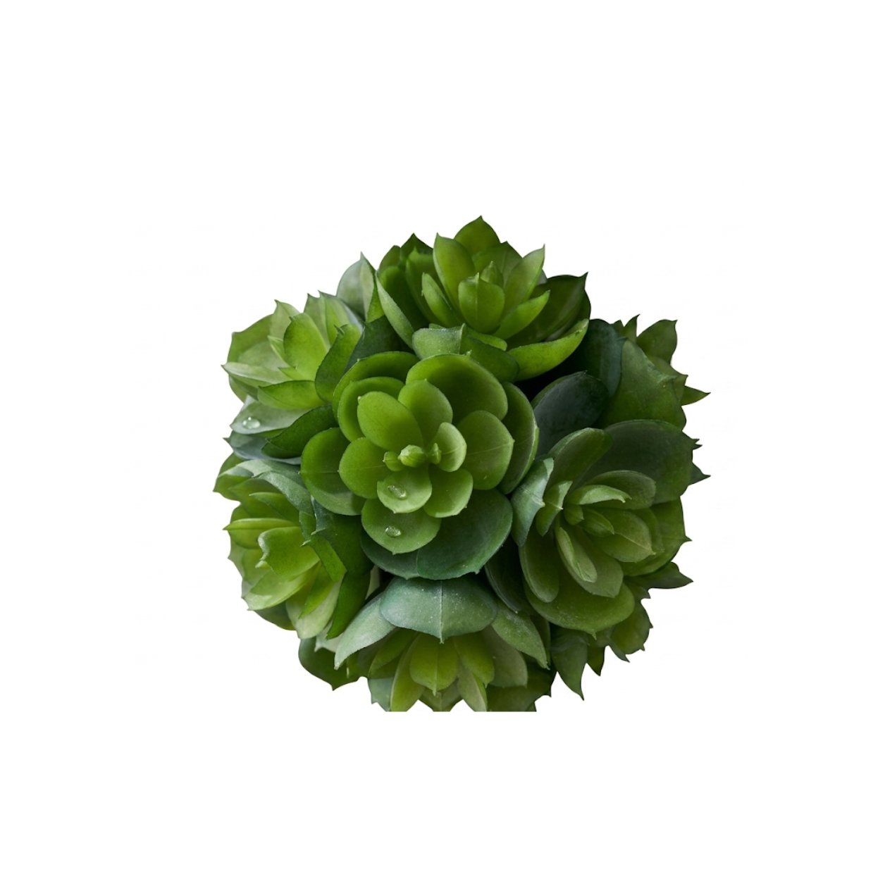 Green Succulent Ball 4"