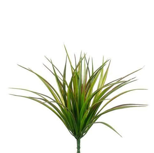 Vanilla Grass Bush
