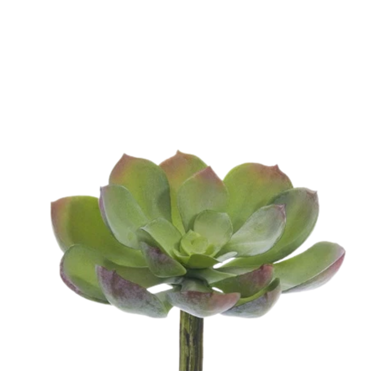Faux Green and Gray Echeveria 5