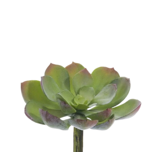 Faux Green and Gray Echeveria 5