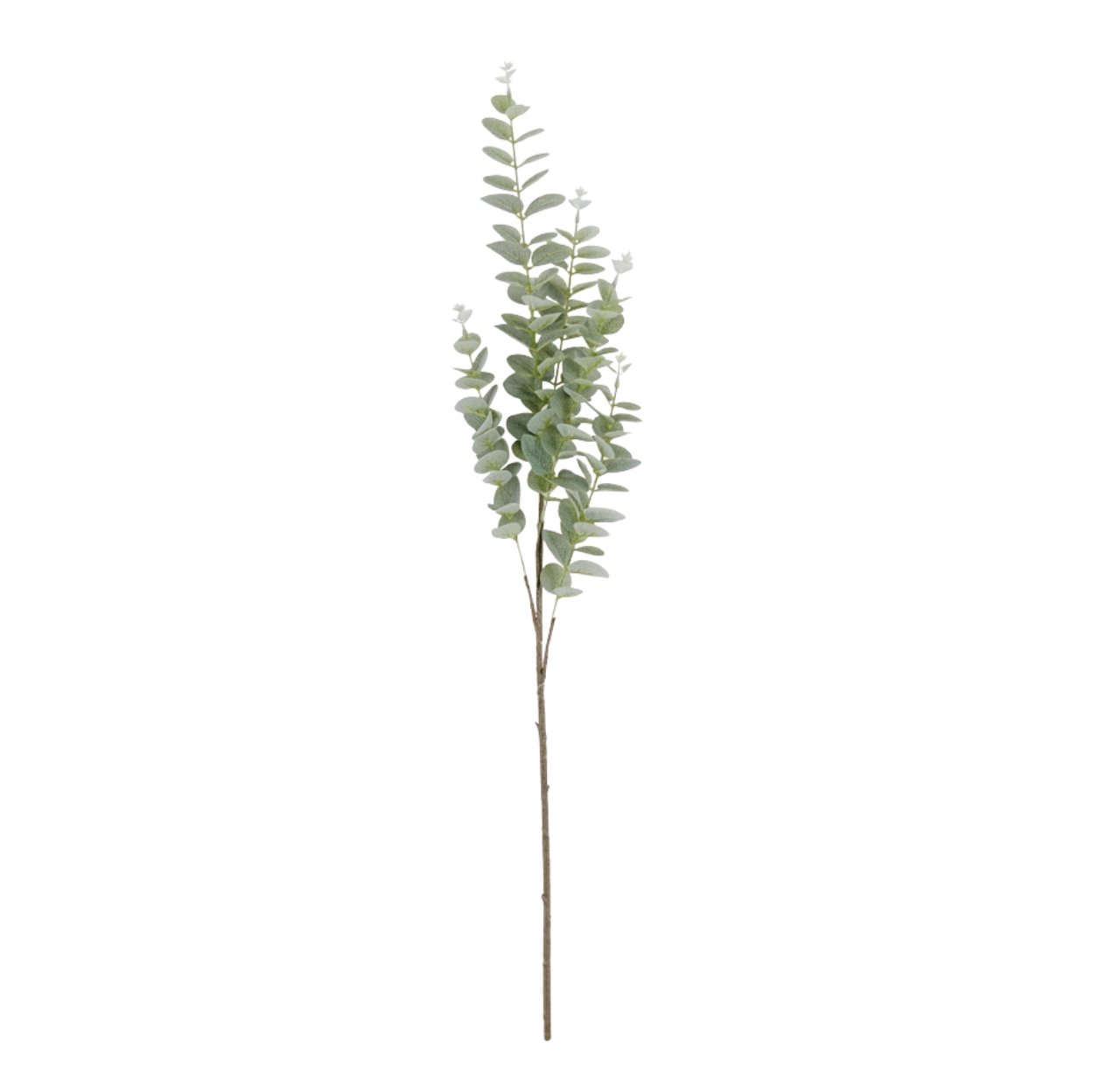 Eucalyptus Stem 36" Light Green