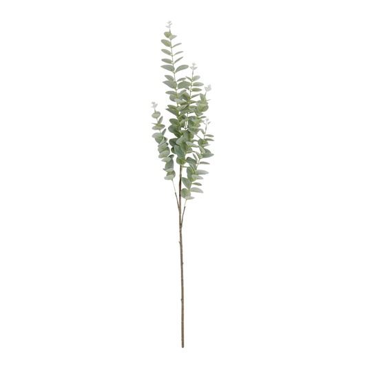 Eucalyptus Stem 36" Light Green