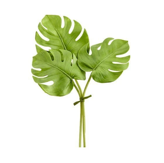 Green Split Philo Leaf Bundle