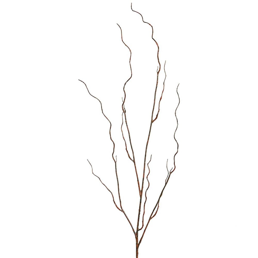 Curly Twig