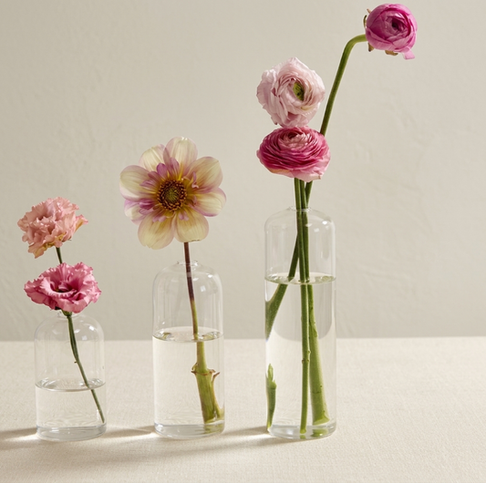 Clear Glass Bud Vase S