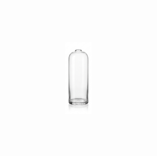 Clear Glass Bud Vase S