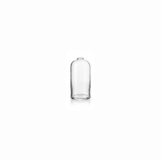 Clear Glass Bud Vase S