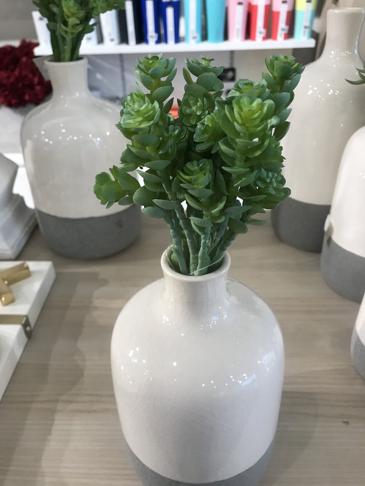 Succulent Mini Spray
