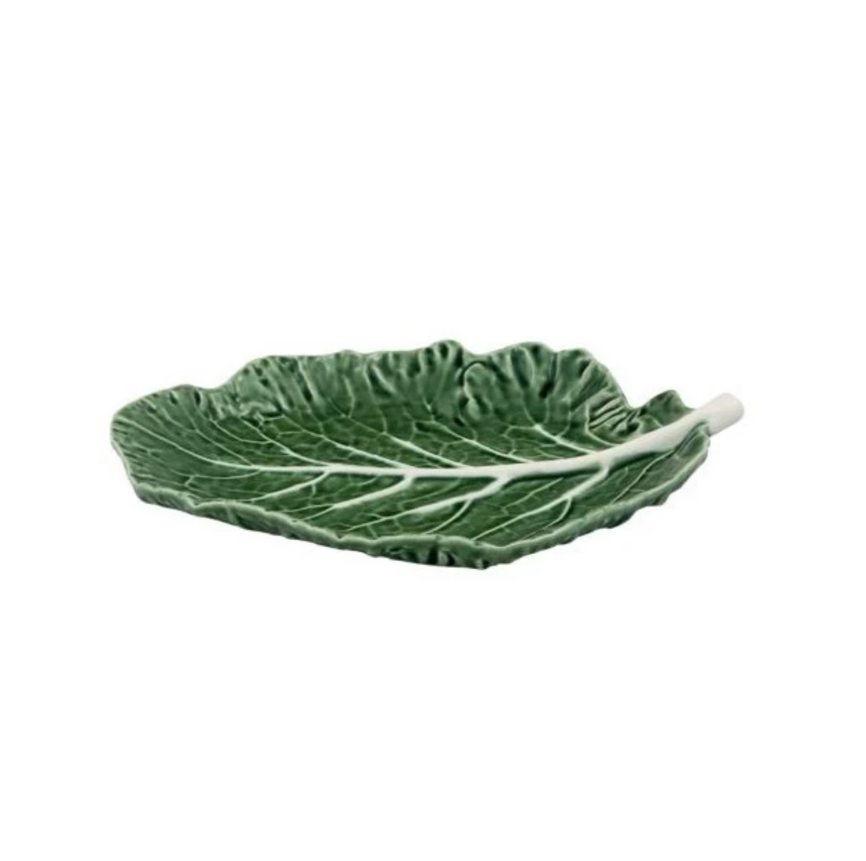 Cabbage Large Leaf Tray
