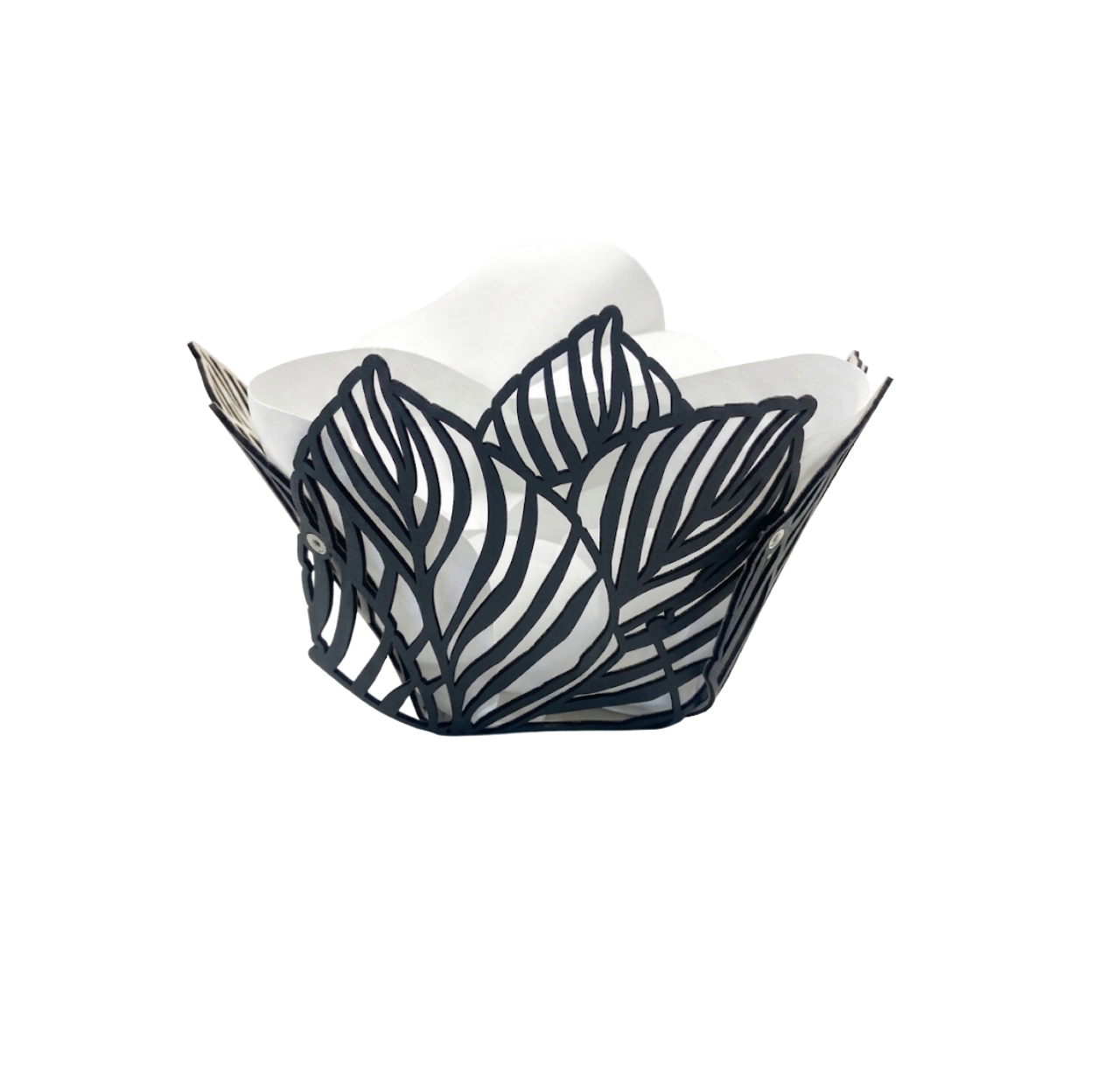 Colección Maranta