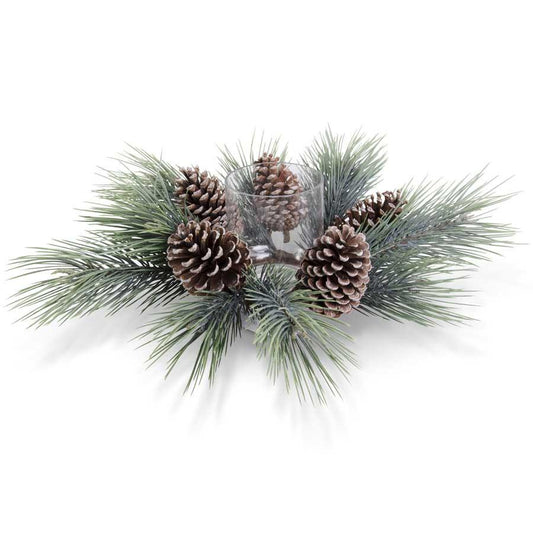 Hurricane Long Needle Seafoam Pine with Large Pinecones | Details Panamá