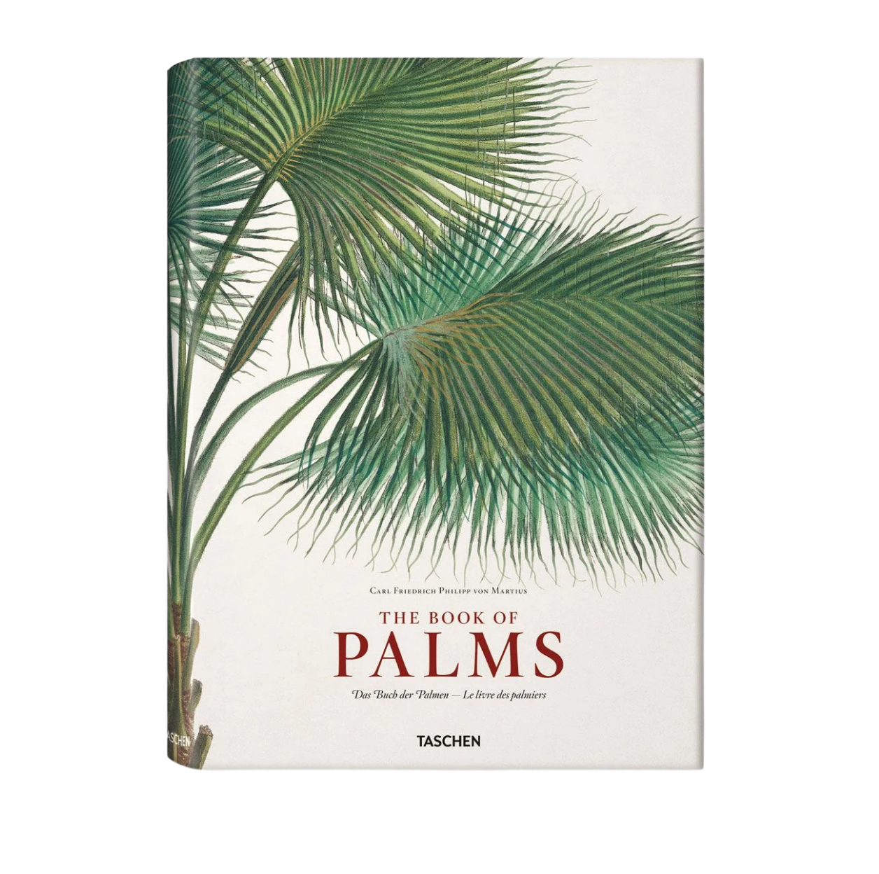Martius The Book Of Palms