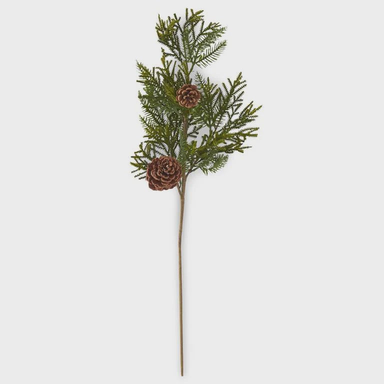 Mixed Pine Stem with Large and Small Pinecones