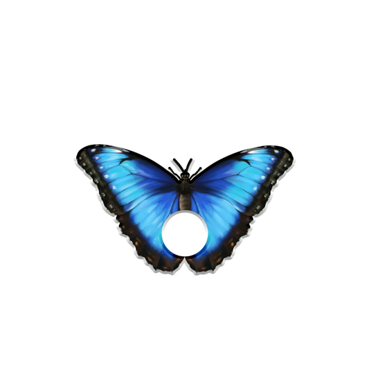 Butterfly Acrylic Napkin Rings S/4