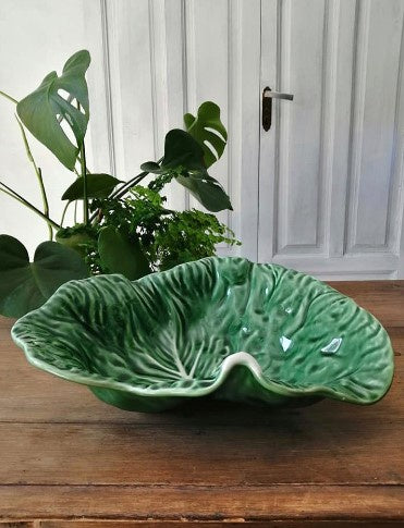 Cabbage Crooked Leaf Tray