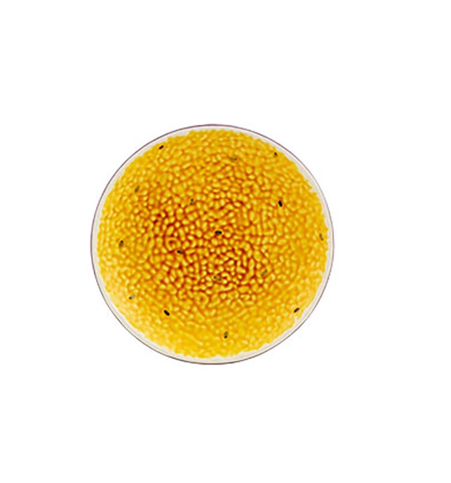 Bordallo Pinheiro Tropical Fruits