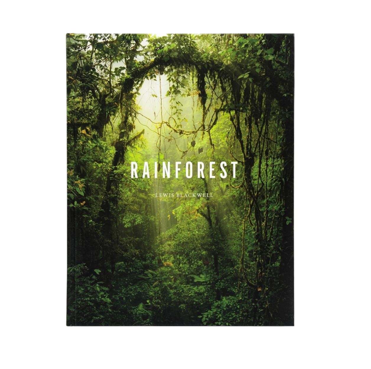 Rainforest