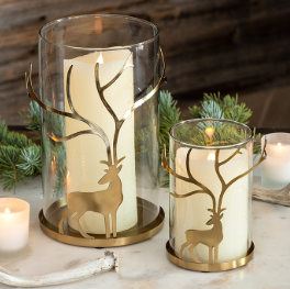 Gilt Stag Hurricanes