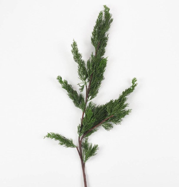 Cedar Branch 36"