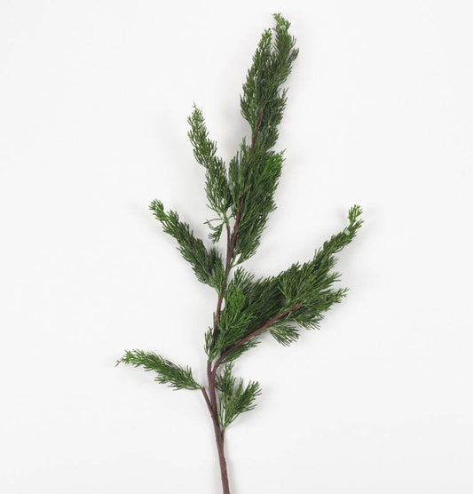Cedar Branch 36" | Details Panamá