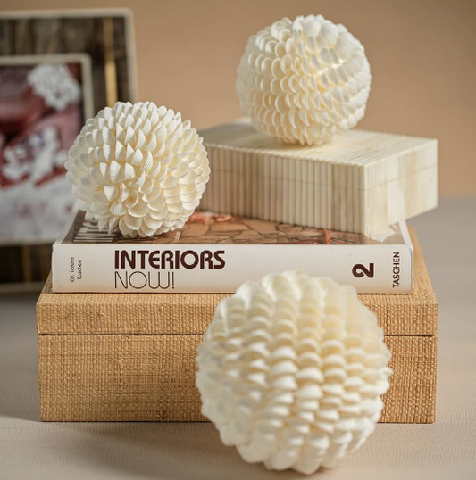 Natural Clamrose Sea Shell Ball 4"