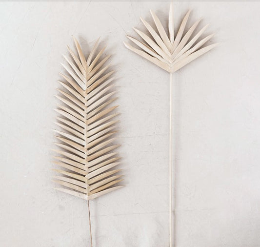 Natural Fern Leaf