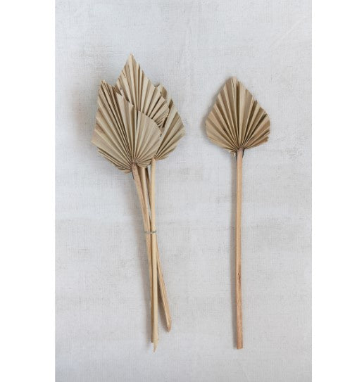 Palm Spears