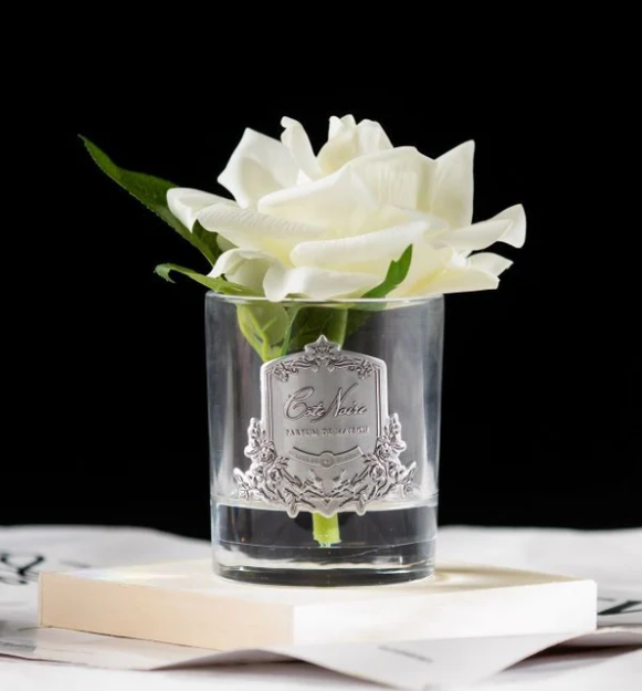 Single Rose Ivory White