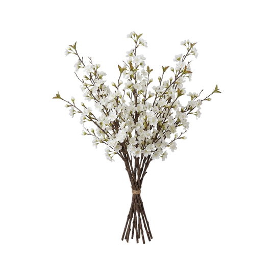 White Cherry Blossom Stem