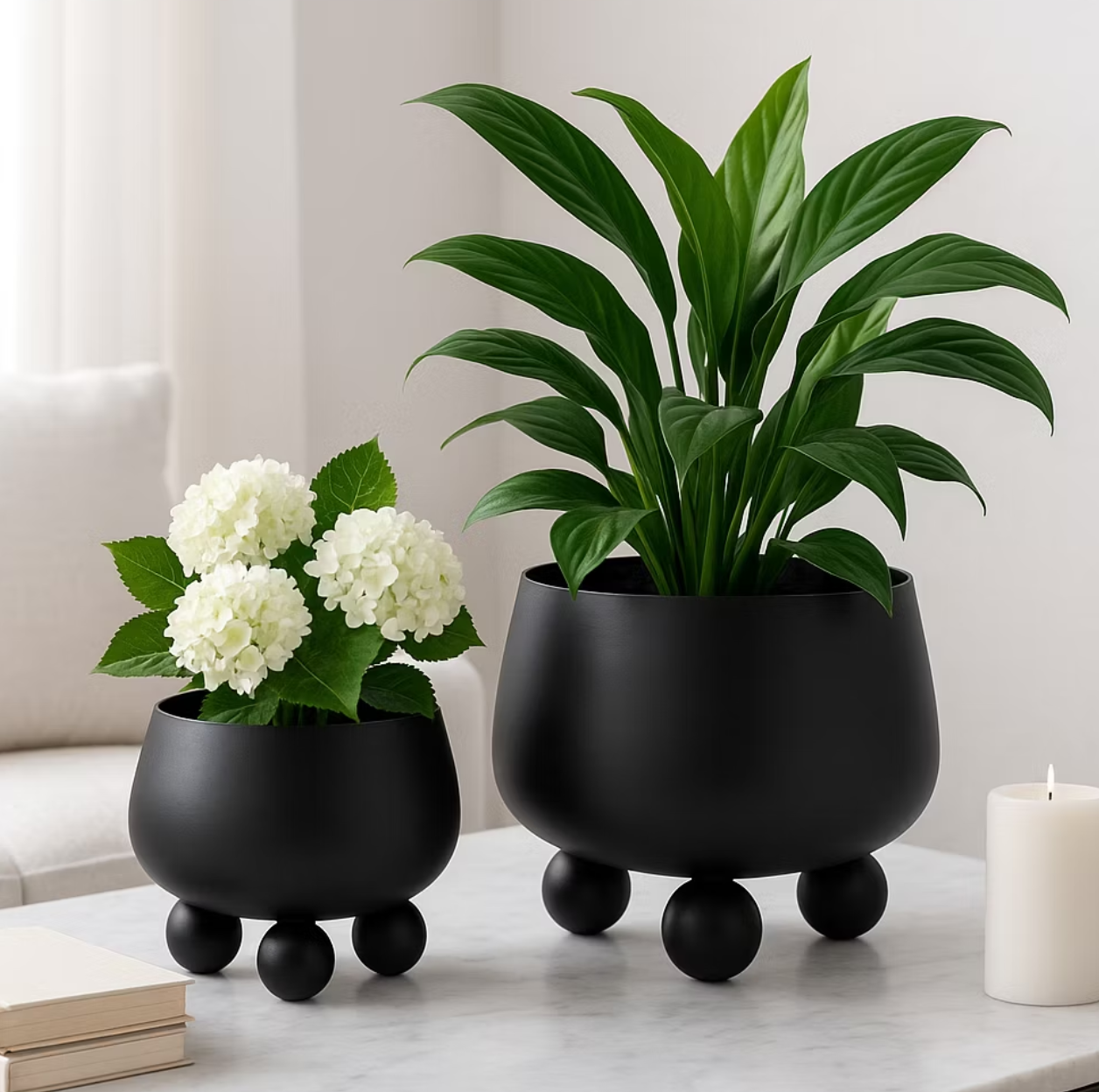 Black Albafield Planters