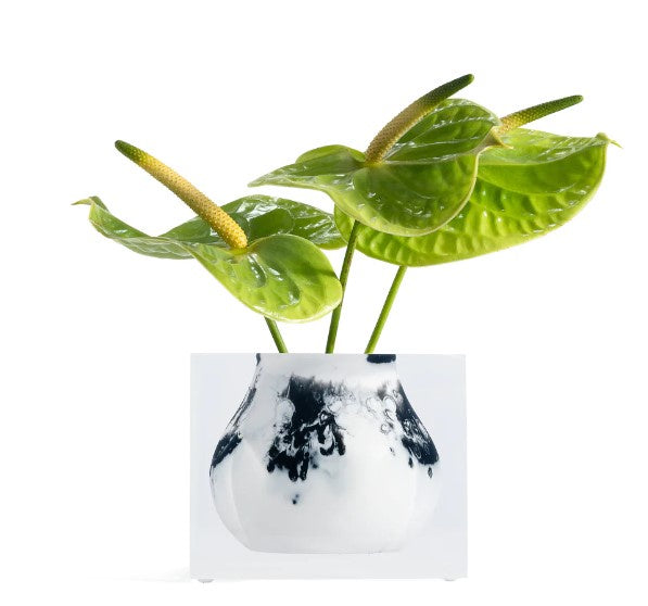 Mosco Bud Vase
