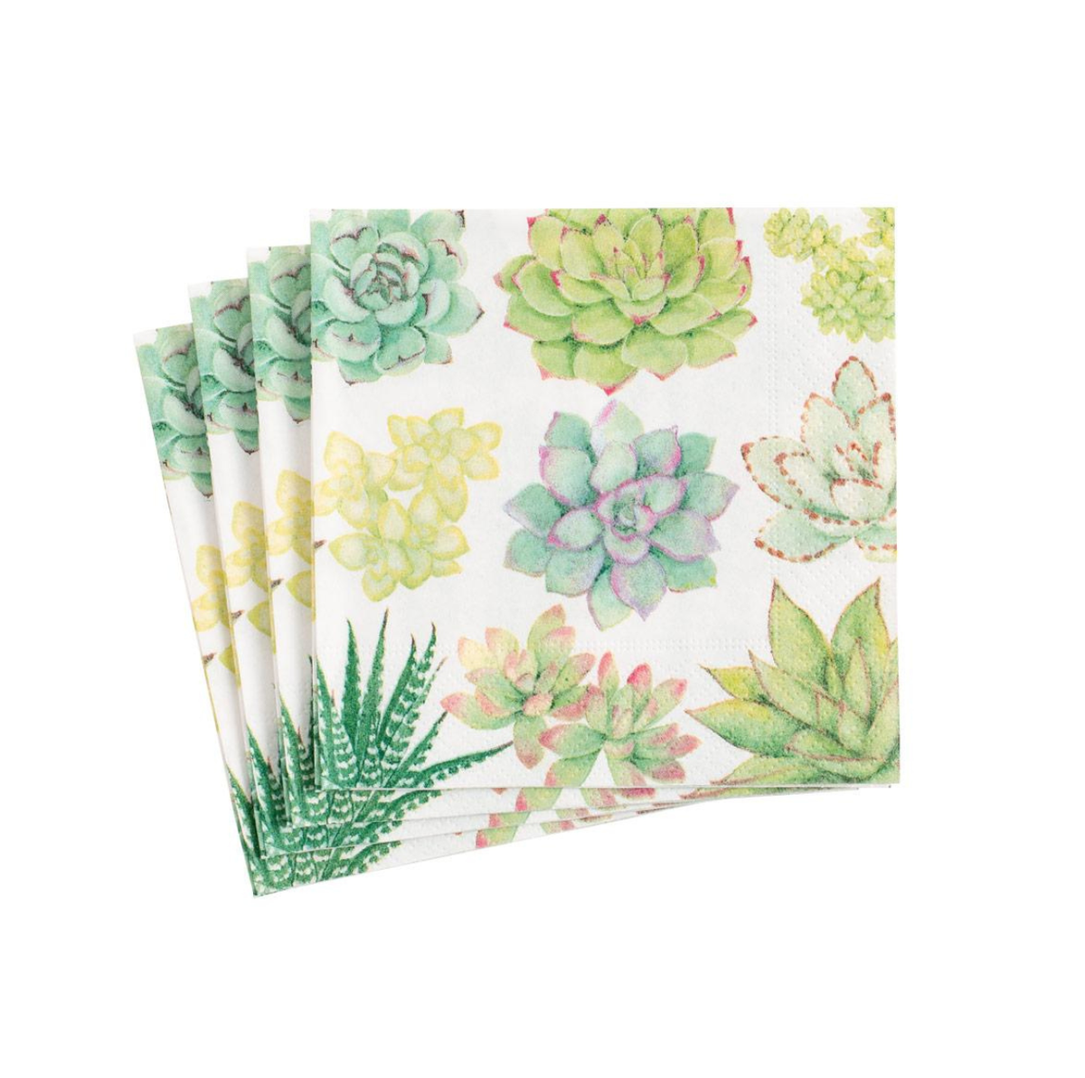 Succulents Cocktail Napkin