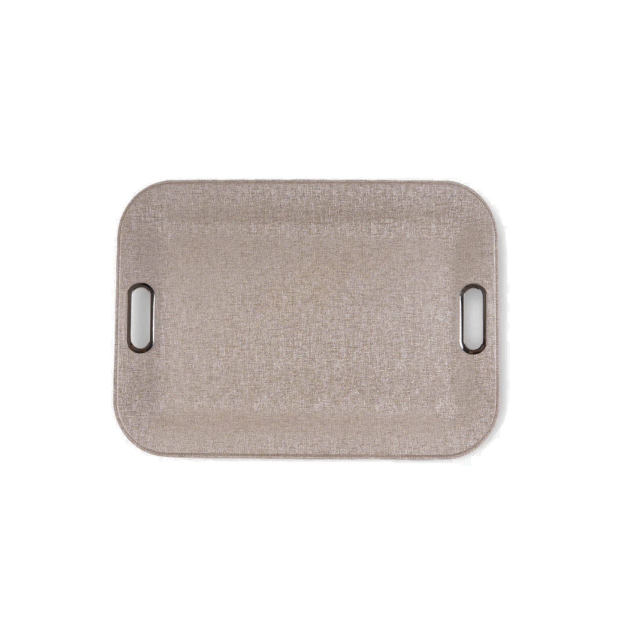 Large Plastic Tray With Metal Handles