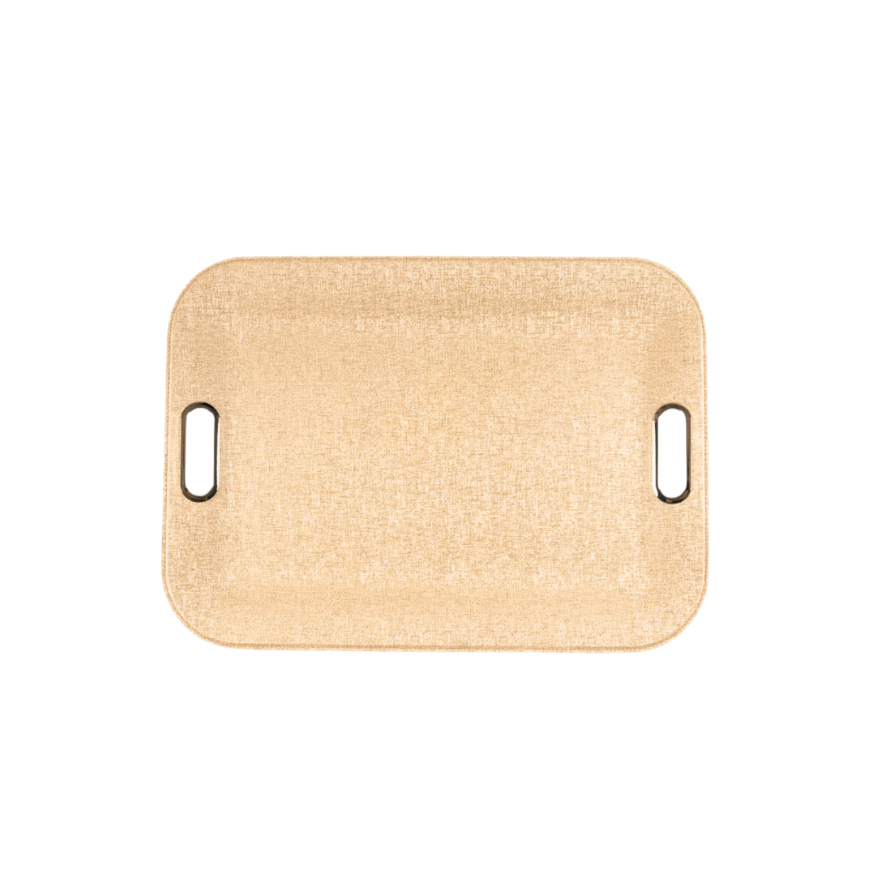 Large Plastic Tray With Metal Handles