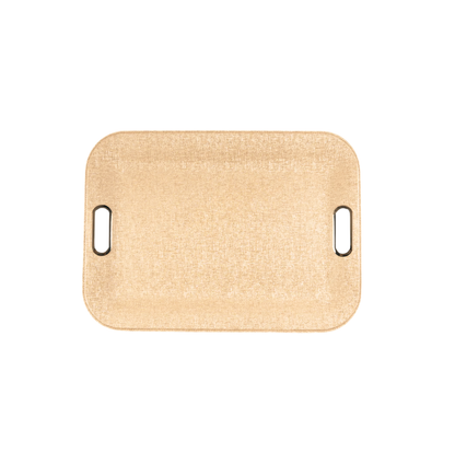 Large Plastic Tray With Metal Handles