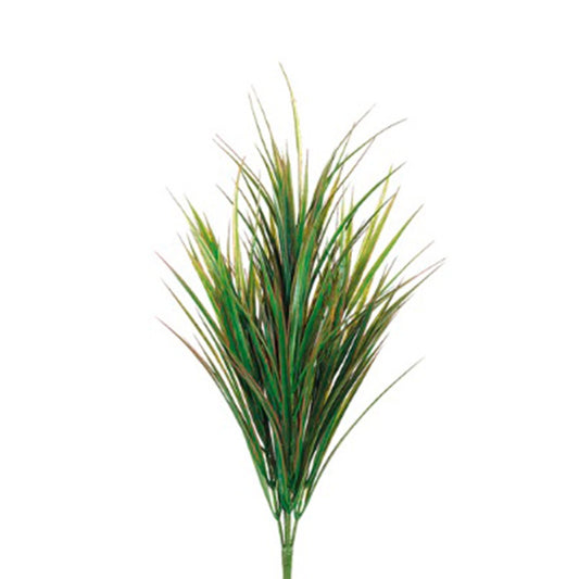 Dracaena Bush W/ Leaves